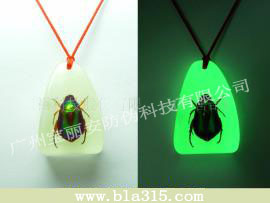 ���_(d��)ҹ����īЧ���D