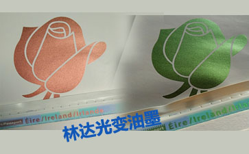 ���_������ī-��׃��ī