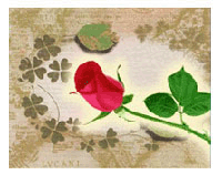 ���_��ζ��ī